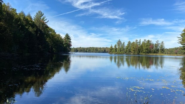 حكومة أونتاريو