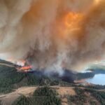 حرائق الغابات