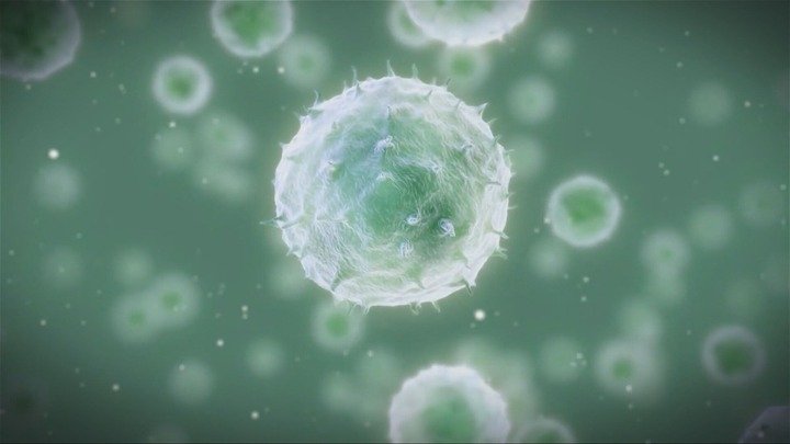 المكورات السحائية الغازية