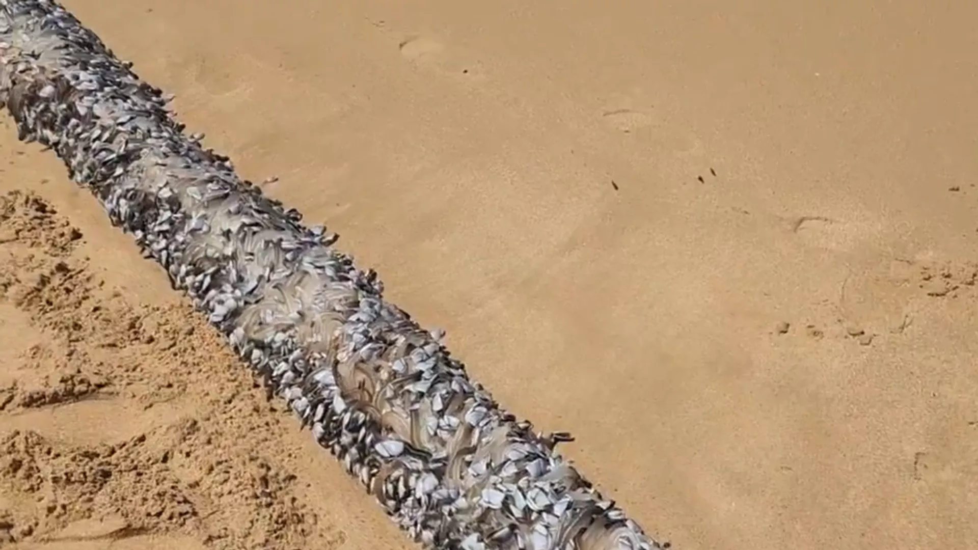 1094424754 21 0 1436 796 1920x0 80 0 0 6aa283f9a1b50fdb5d7ab1587cfab41fpng