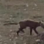 6731d59b4c59b70d2b2771bc