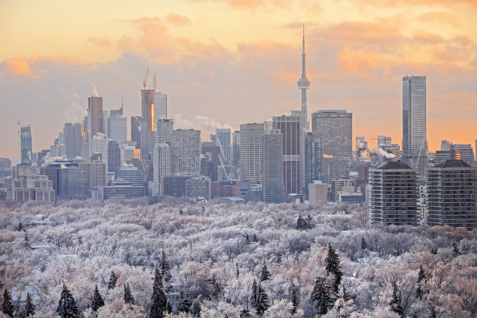 What is the coldest month in Toronto