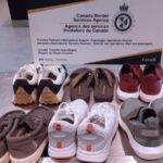 تهريب المخدرات